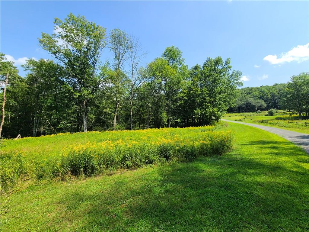 #9 photo, Lot 18 Andie Lane, Bethel , NY 12720