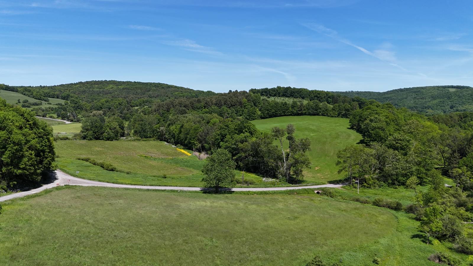 #49 photo, 321 Panther Mt Rd, Richfield Springs , NY 13439