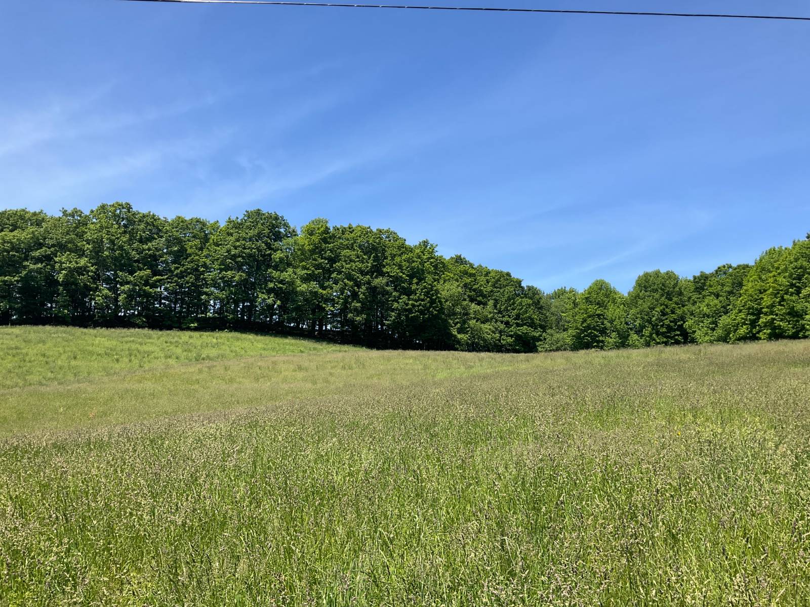 #50 photo, 321 Panther Mt Rd, Richfield Springs , NY 13439