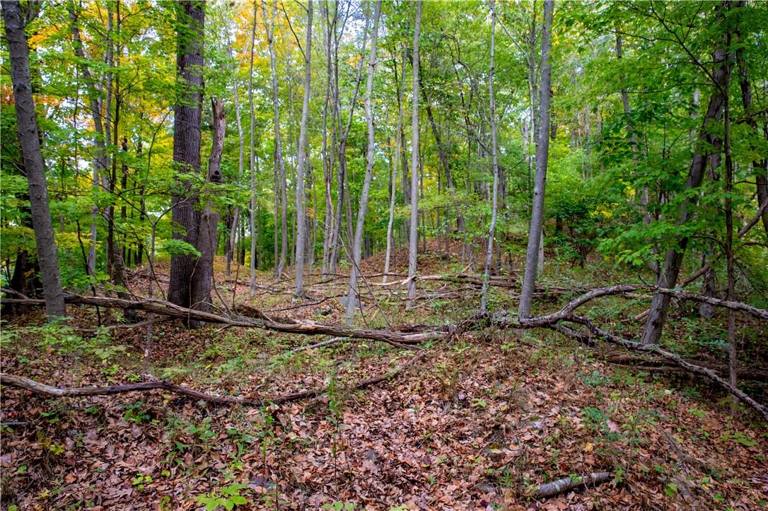 #15 photo, 325-361 Old Post Road, Bedford , NY 10506