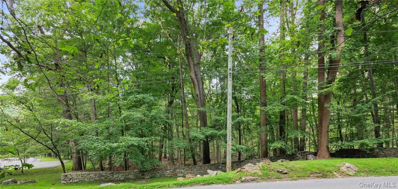 #9 photo, 47 John Cross Road, Mount Kisco , NY 10549