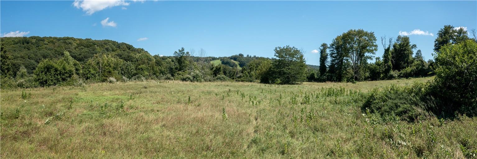 #9 photo, Patterson, Patterson , NY 12563