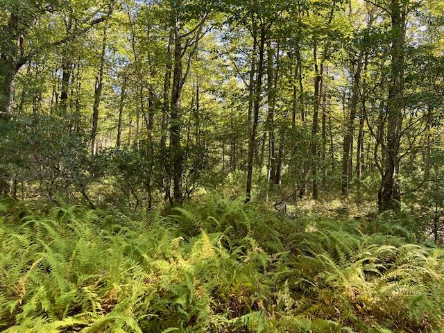 #5 photo, Glen Spey, Glen Spey , NY 12737