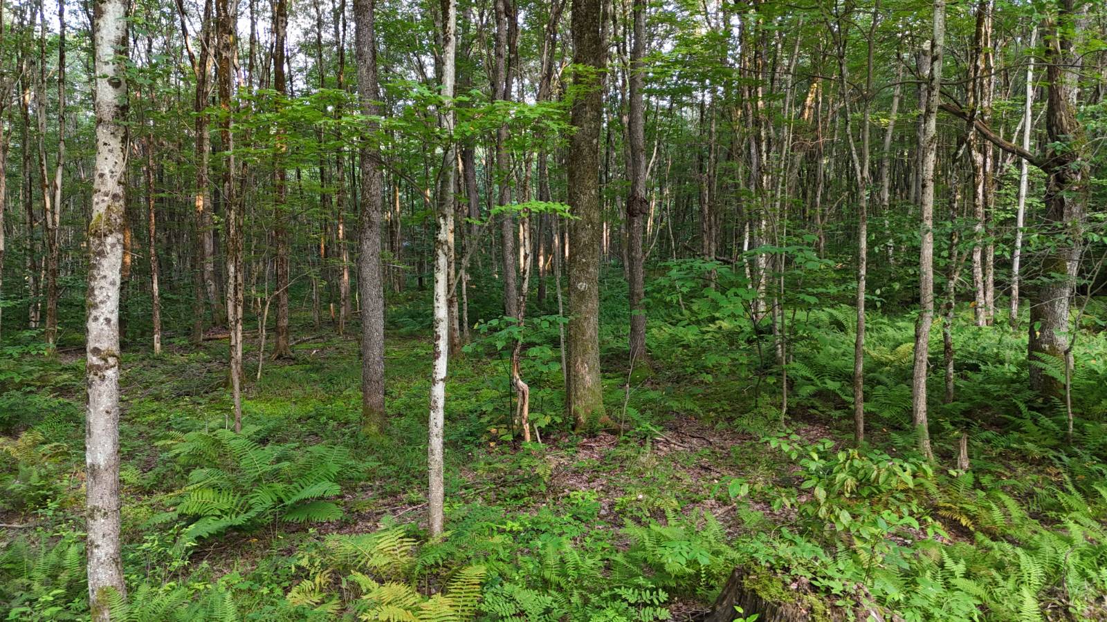 #34 photo, 00 LOST RIDGE SUBD, Camden , NY 13316