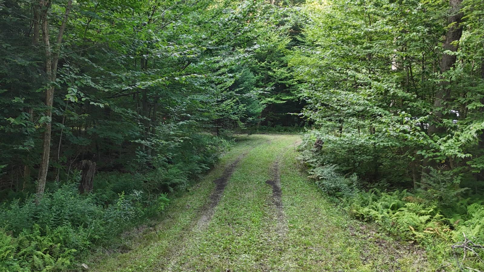 #41 photo, 00 LOST RIDGE SUBD, Camden , NY 13316