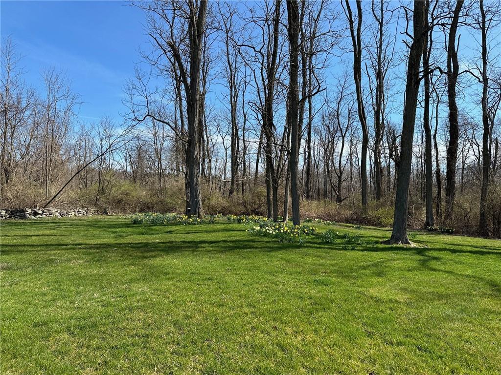 #5 photo, 477 Canoe Hill Road, Millbrook , NY 12545