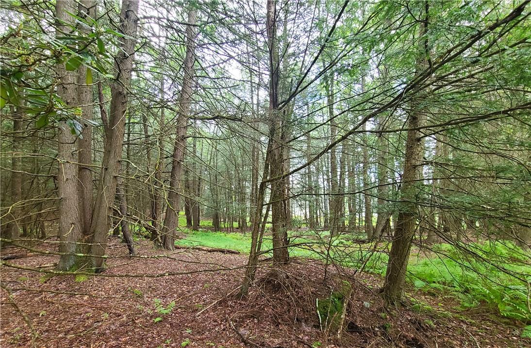 #10 photo, Lot 23 Deer Meadow Road, Bethel , NY 12720