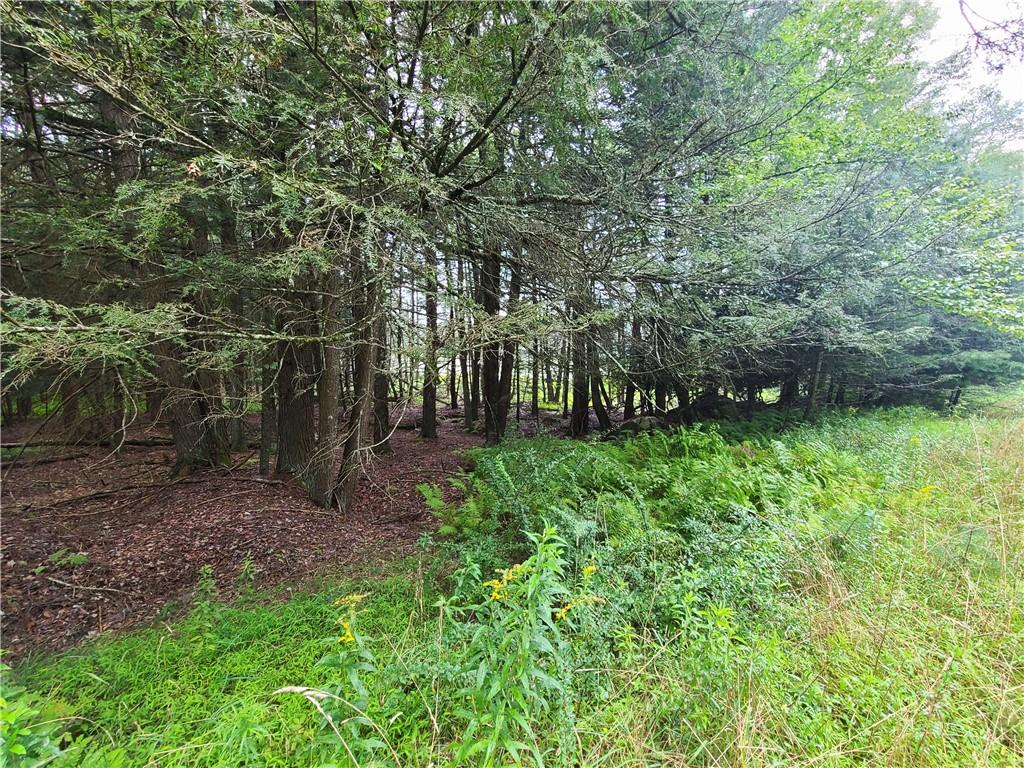 #11 photo, Lot 23 Deer Meadow Road, Bethel , NY 12720