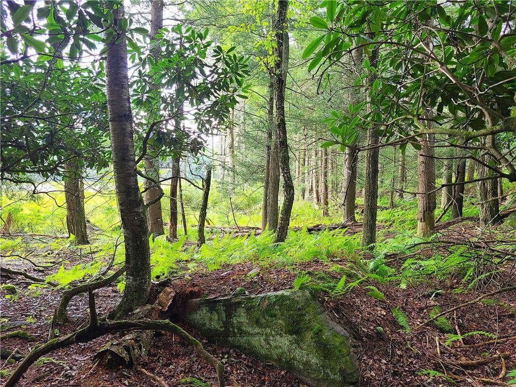 #15 photo, Lot 23 Deer Meadow Road, Bethel , NY 12720