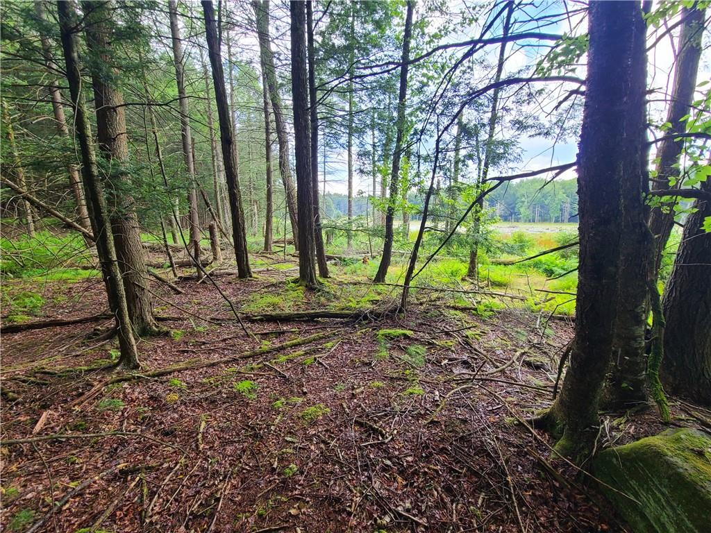#16 photo, Lot 23 Deer Meadow Road, Bethel , NY 12720