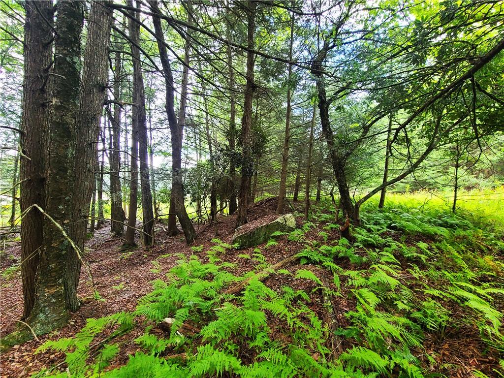 #18 photo, Lot 23 Deer Meadow Road, Bethel , NY 12720