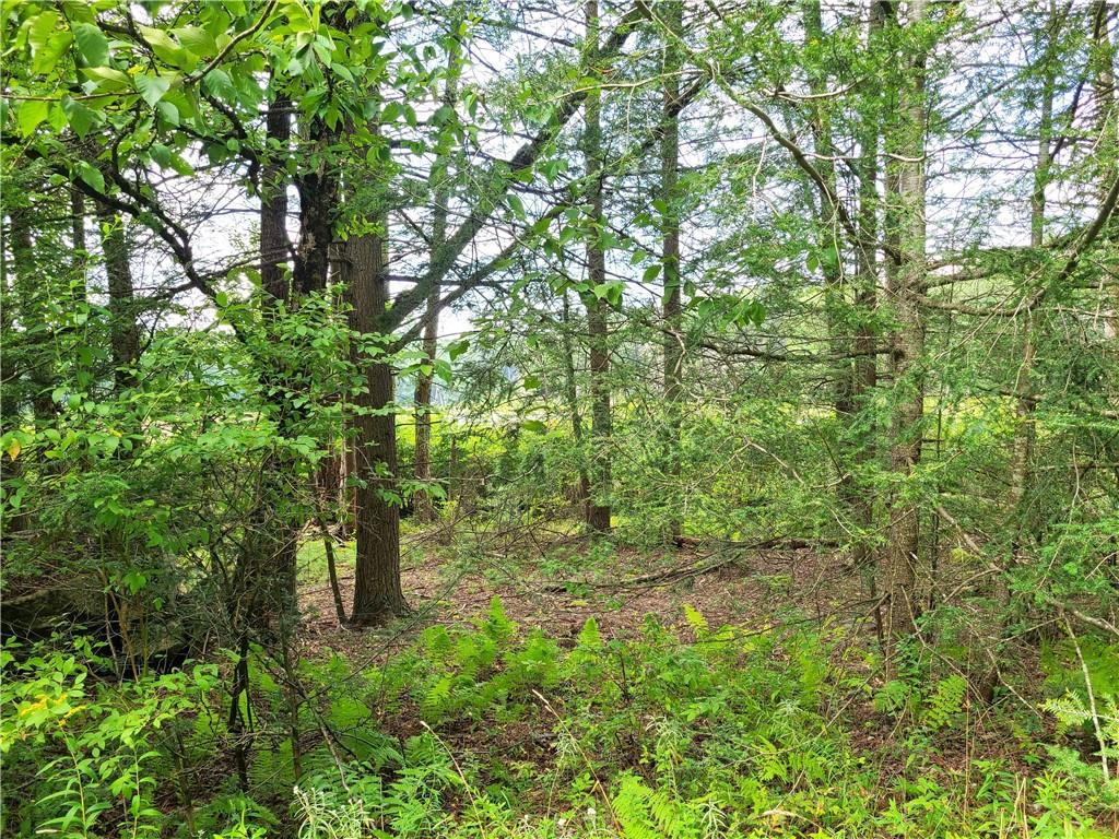 #20 photo, Lot 23 Deer Meadow Road, Bethel , NY 12720