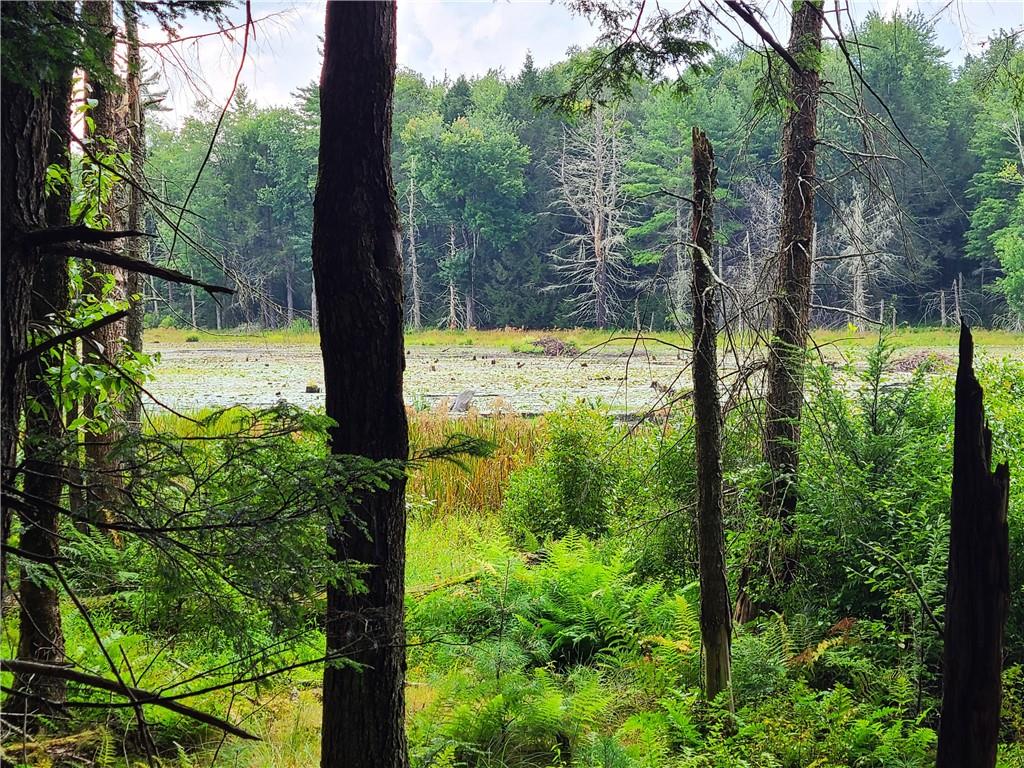 #5 photo, Lot 23 Deer Meadow Road, Bethel , NY 12720