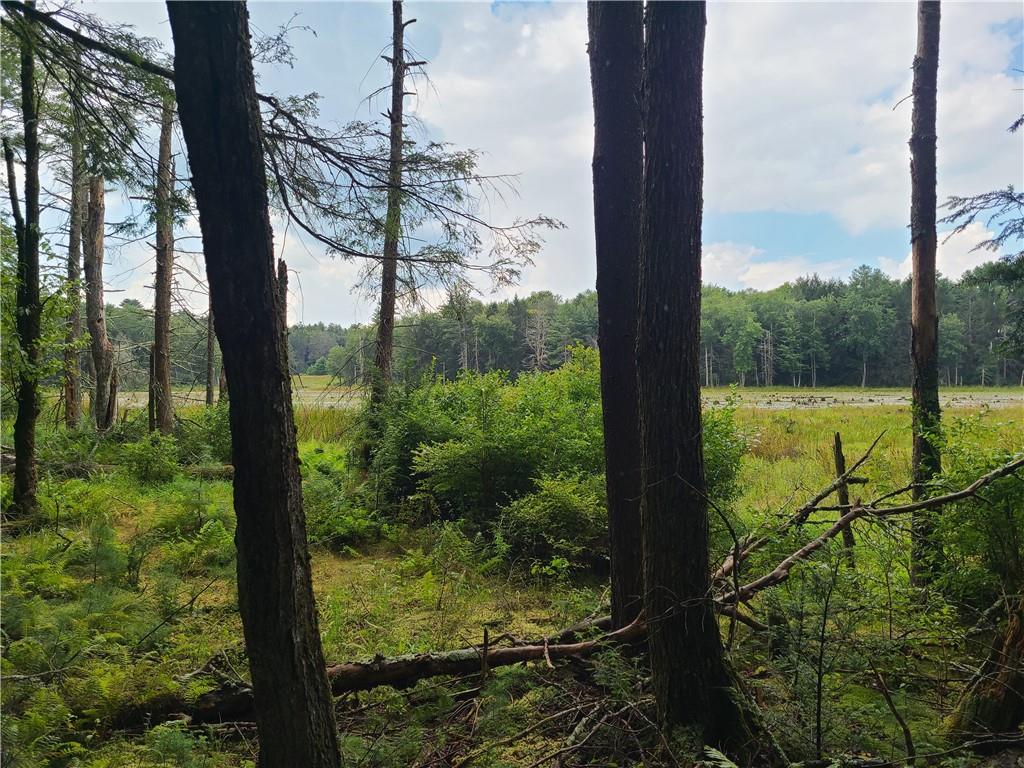 #6 photo, Lot 23 Deer Meadow Road, Bethel , NY 12720