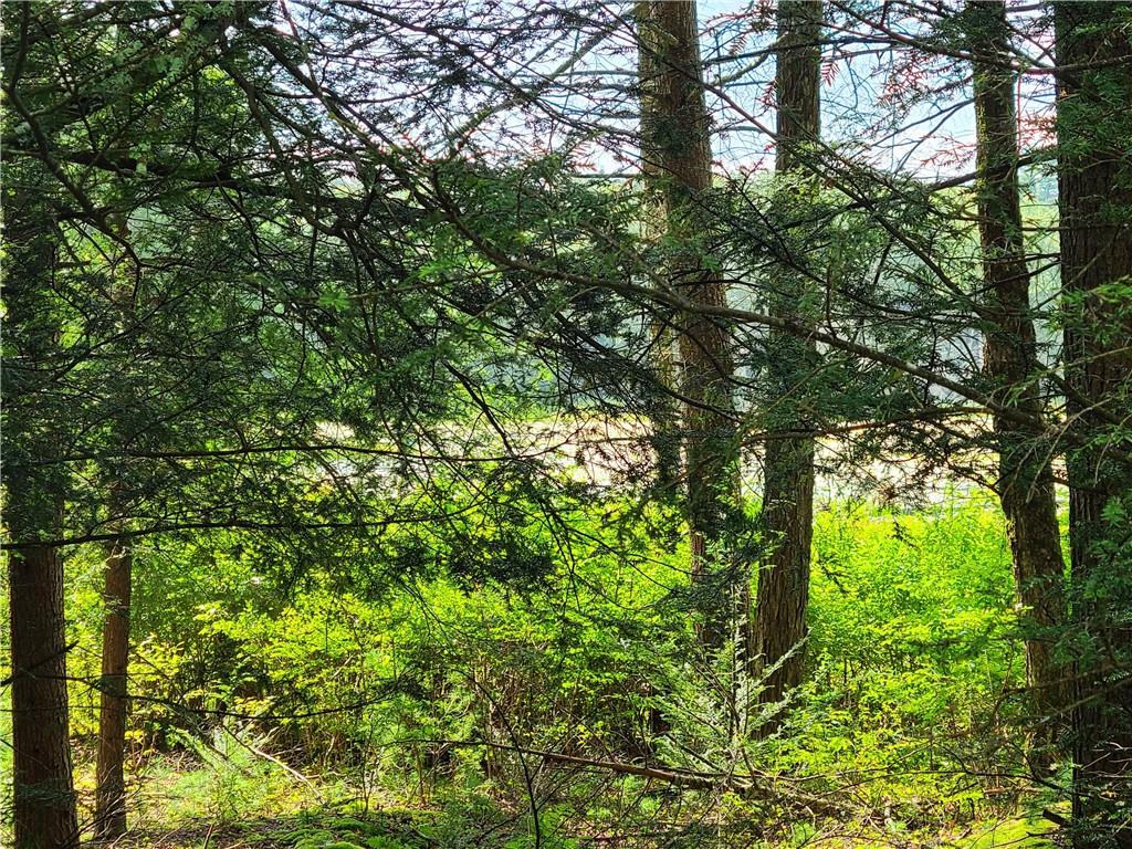 #8 photo, Lot 23 Deer Meadow Road, Bethel , NY 12720