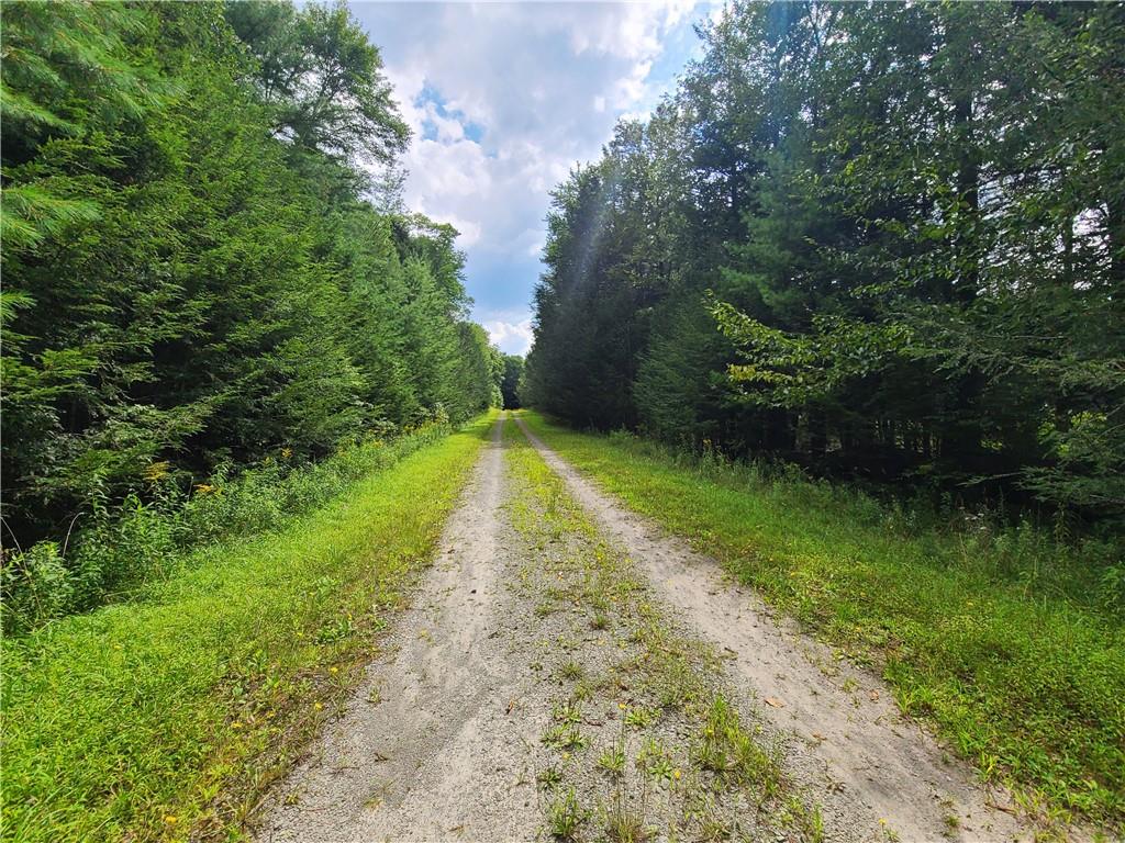 #9 photo, Lot 23 Deer Meadow Road, Bethel , NY 12720