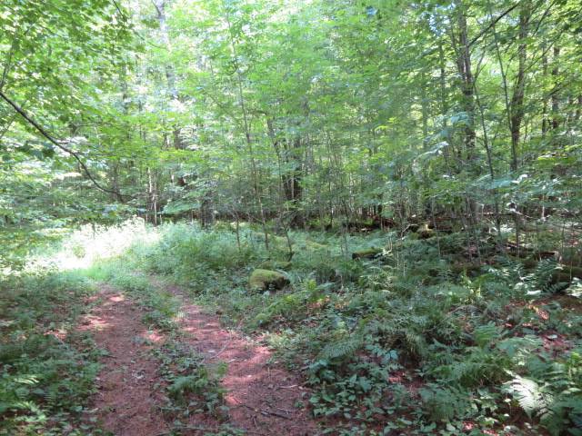 #10 photo, 0 State Hwy 29, Ephratah , NY 12095