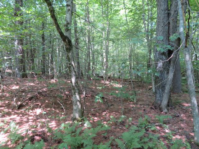 #11 photo, 0 State Hwy 29, Ephratah , NY 12095