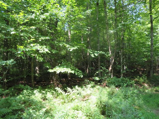 #12 photo, 0 State Hwy 29, Ephratah , NY 12095