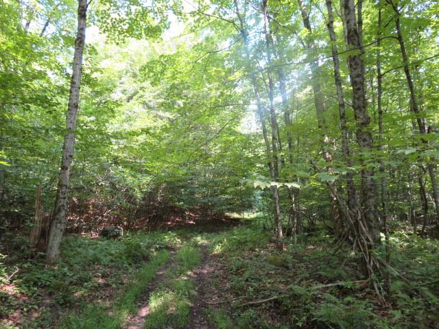 #13 photo, 0 State Hwy 29, Ephratah , NY 12095