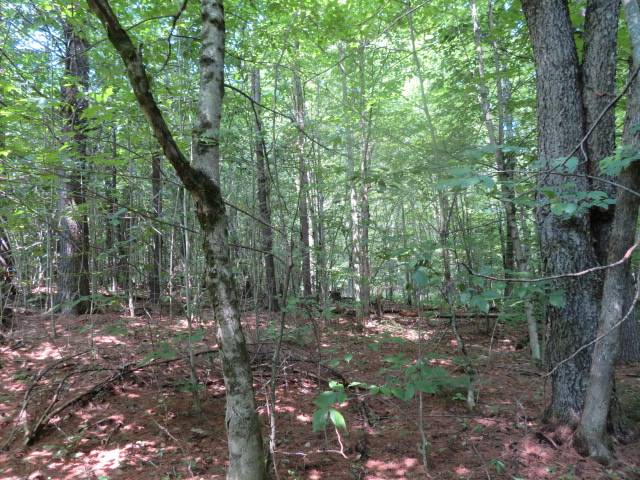 #14 photo, 0 State Hwy 29, Ephratah , NY 12095