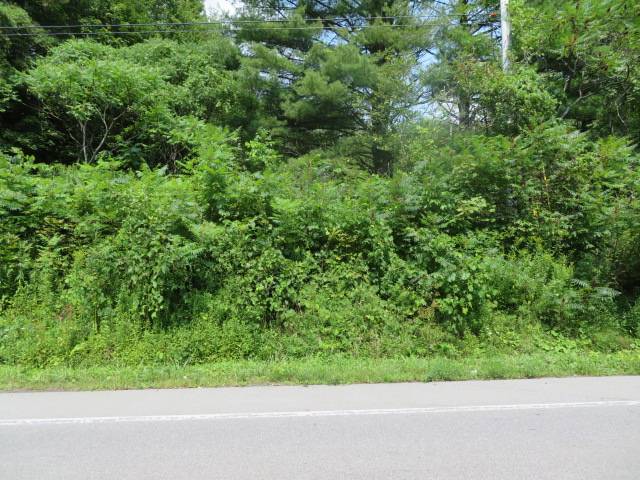 #15 photo, 0 State Hwy 29, Ephratah , NY 12095