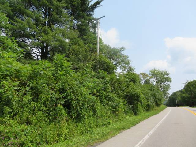 #17 photo, 0 State Hwy 29, Ephratah , NY 12095