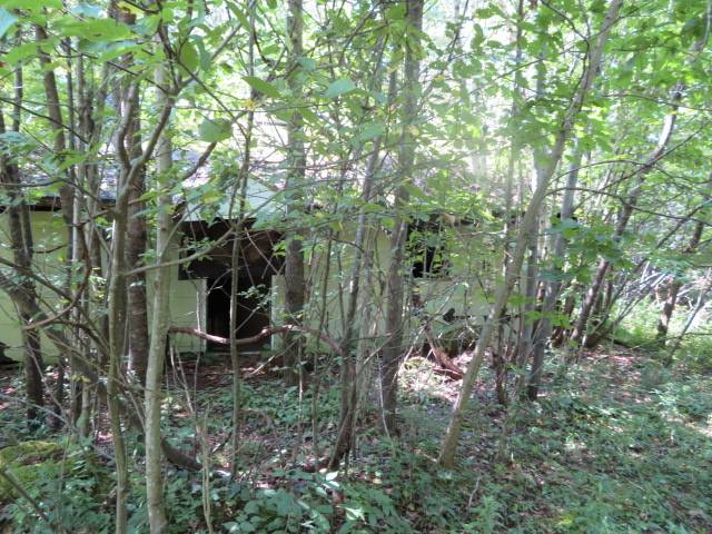 #19 photo, 0 State Hwy 29, Ephratah , NY 12095