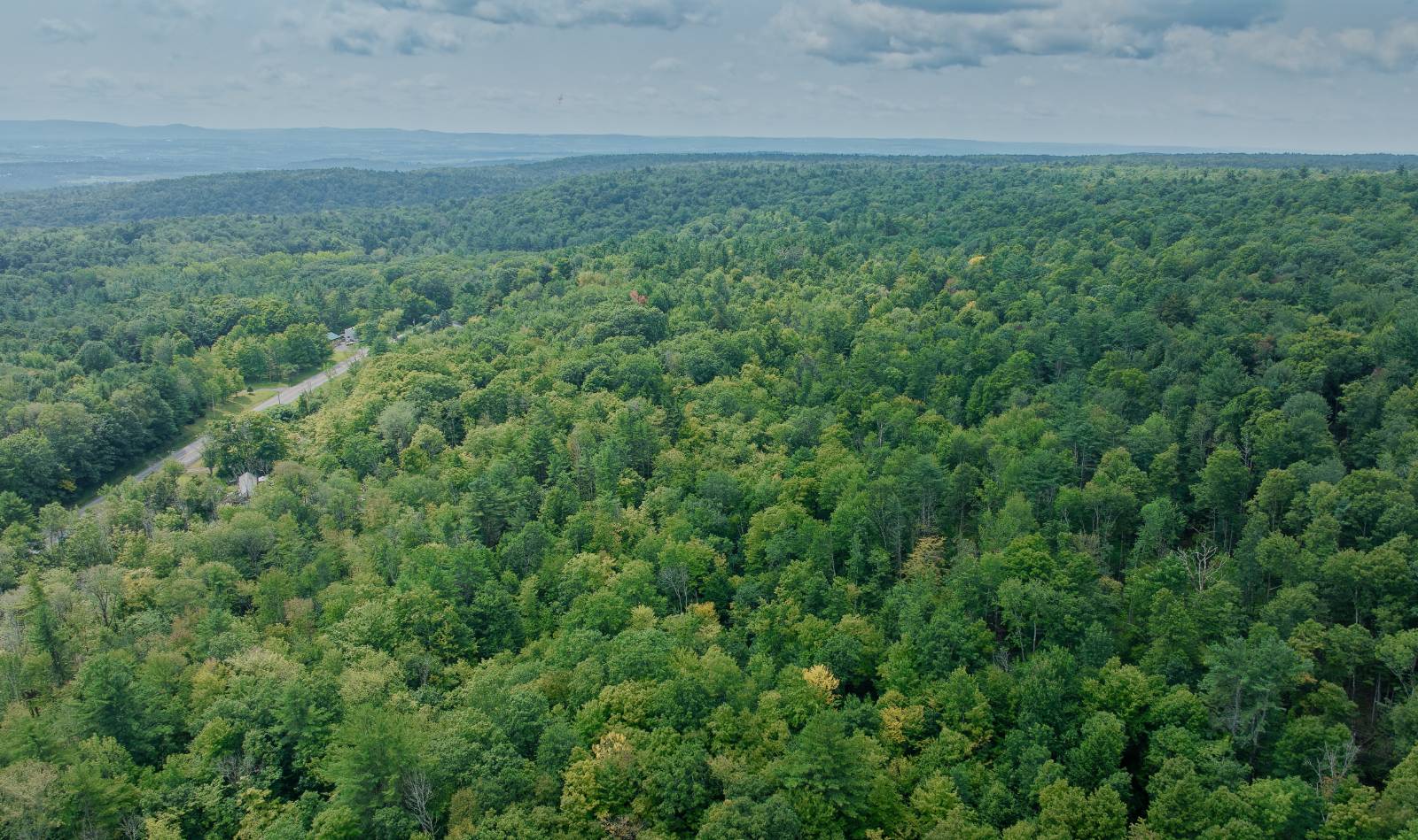 #4 photo, 0 State Hwy 29, Ephratah , NY 12095