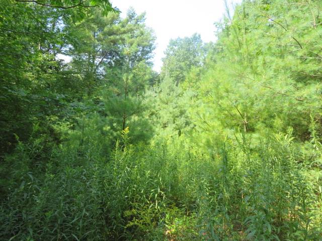 #7 photo, 0 State Hwy 29, Ephratah , NY 12095