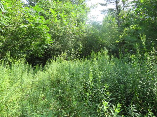 #8 photo, 0 State Hwy 29, Ephratah , NY 12095