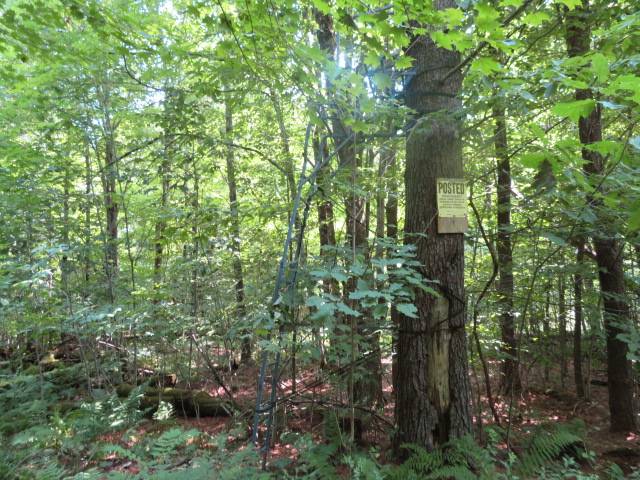 #9 photo, 0 State Hwy 29, Ephratah , NY 12095