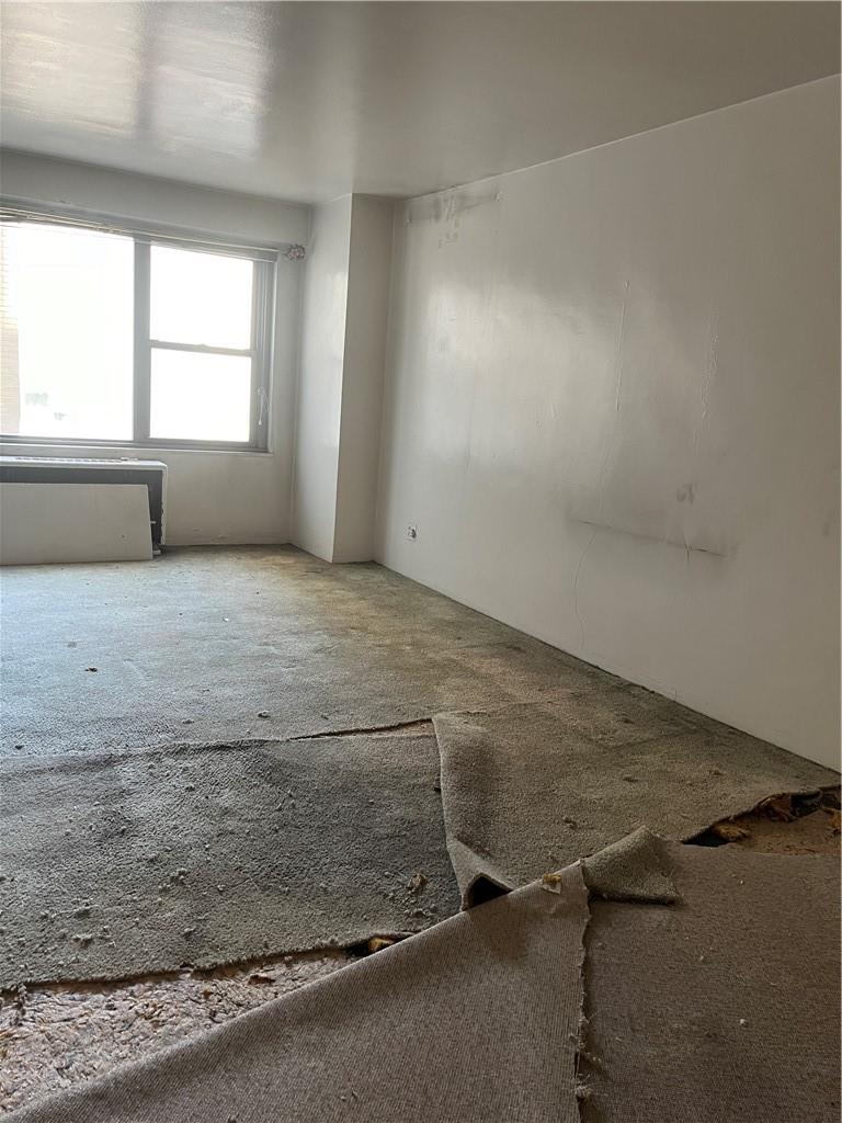 #4 photo, 1020 Grand Concourse, ブロンクス区 Bronx , NY 10451