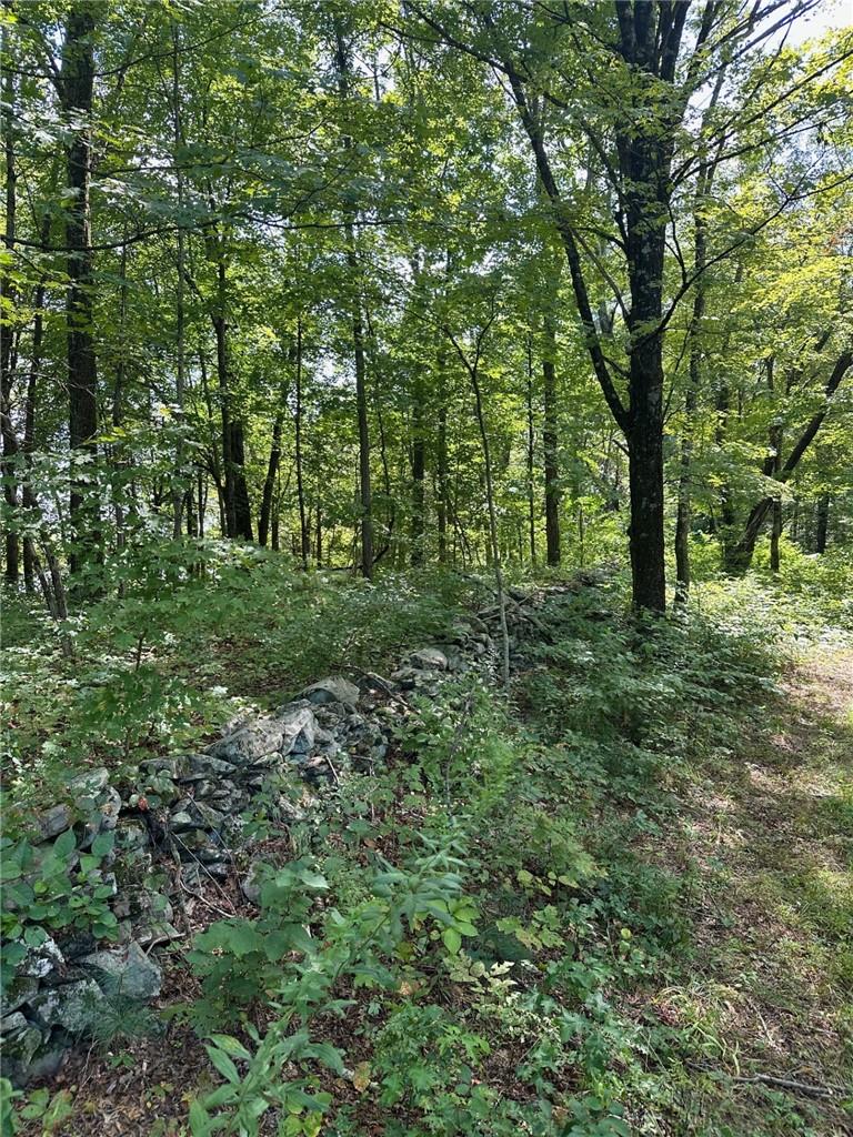 #4 photo, E Fallkill Road, Hyde Park , NY 12571