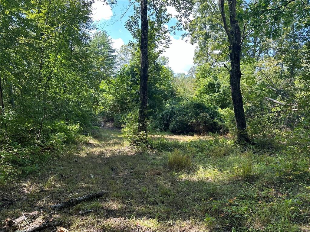 #6 photo, E Fallkill Road, Hyde Park , NY 12571