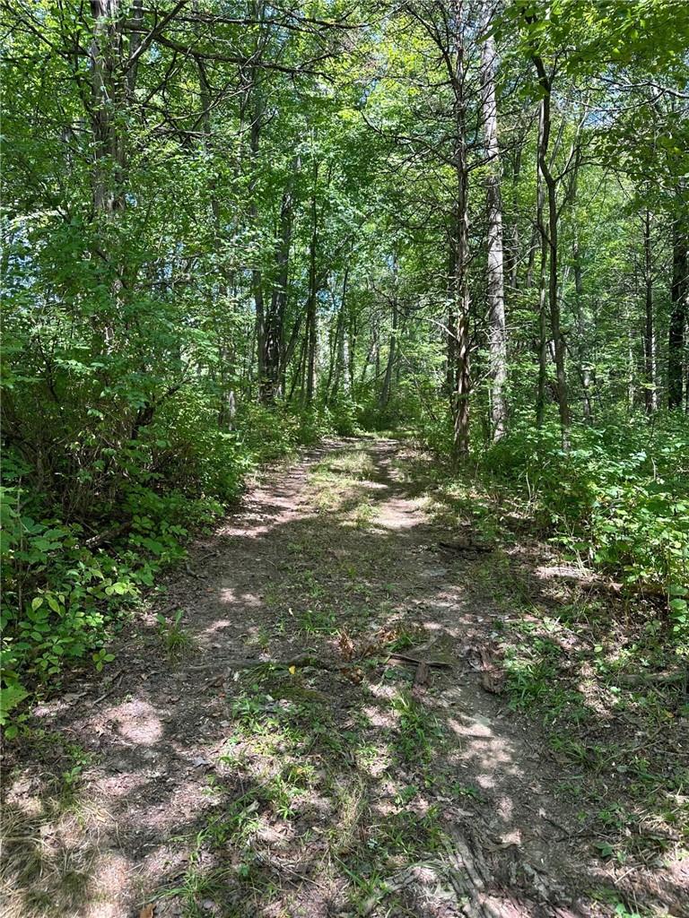 #7 photo, E Fallkill Road, Hyde Park , NY 12538