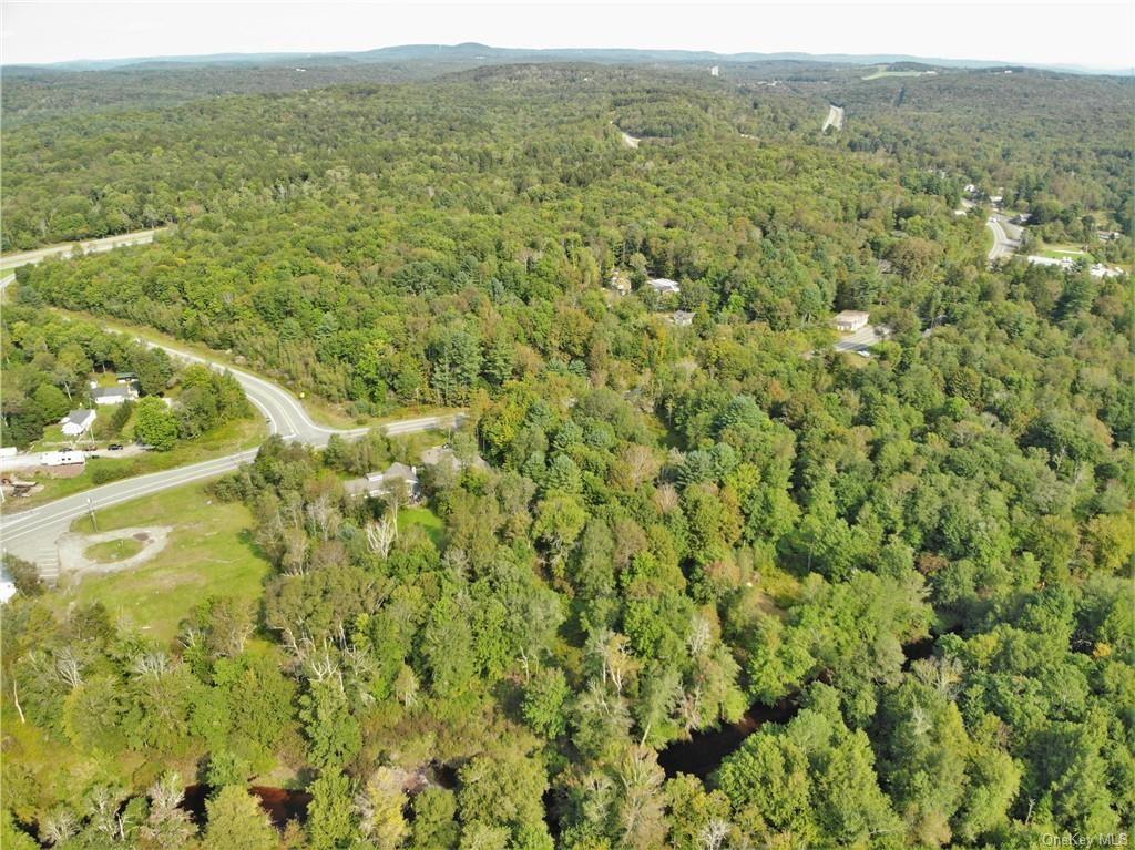 #13 photo, NYS Rt 17 and Old Rt 17, Harris , NY 12742