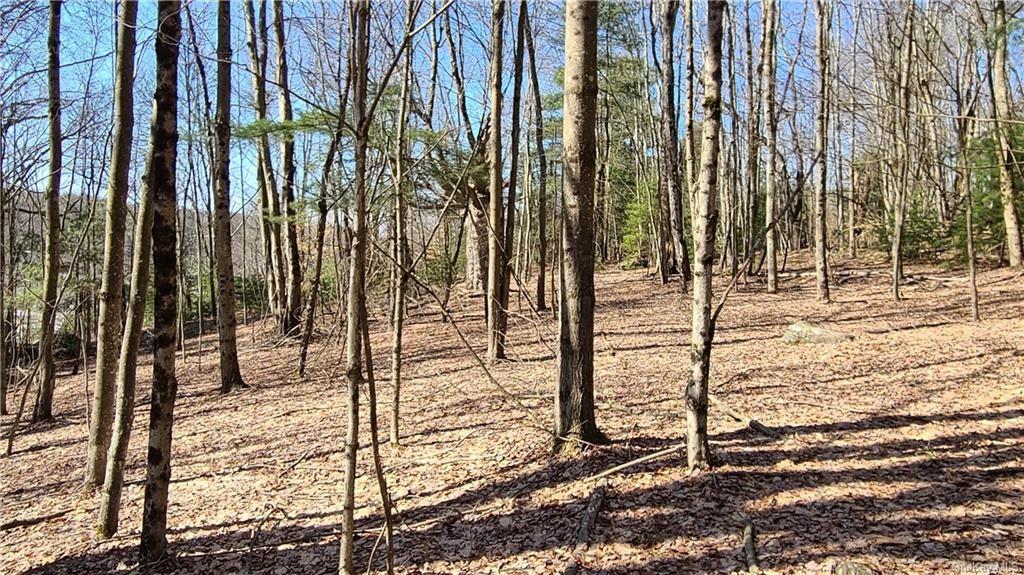 #15 photo, NYS Rt 17 and Old Rt 17, Harris , NY 12742