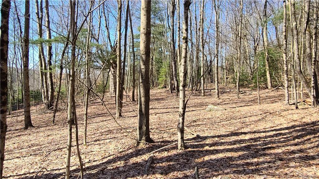 #16 photo, NYS Rt 17 and Old Rt 17, Harris , NY 12742