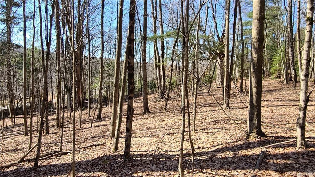 #17 photo, NYS Rt 17 and Old Rt 17, Harris , NY 12742