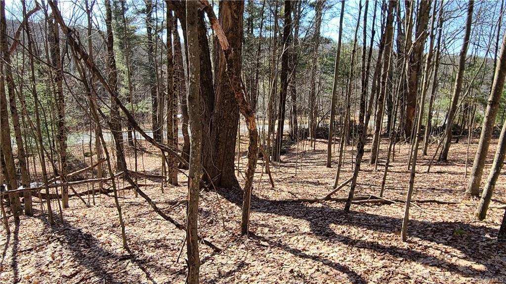 #18 photo, NYS Rt 17 and Old Rt 17, Harris , NY 12742