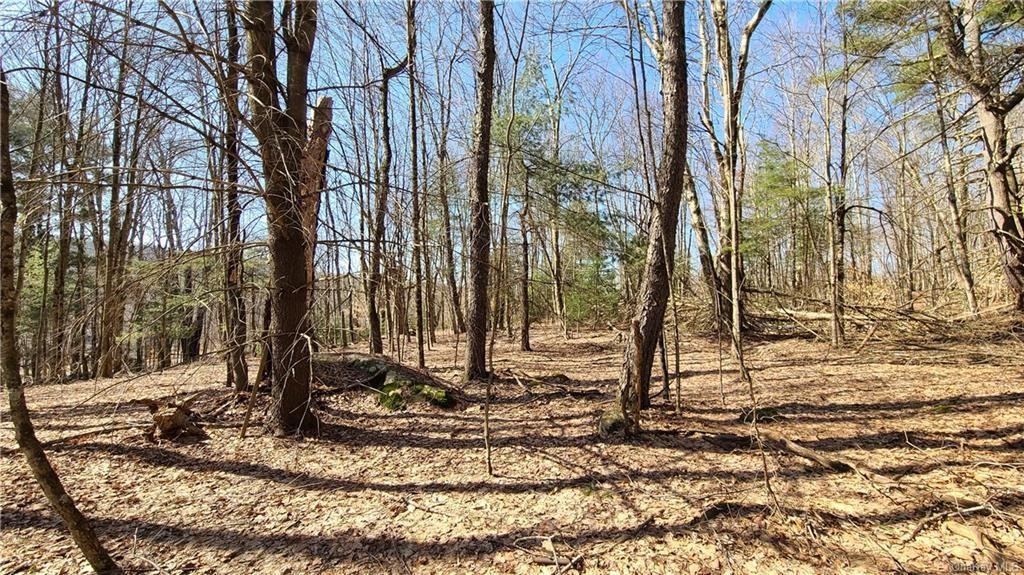 #19 photo, NYS Rt 17 and Old Rt 17, Harris , NY 12742