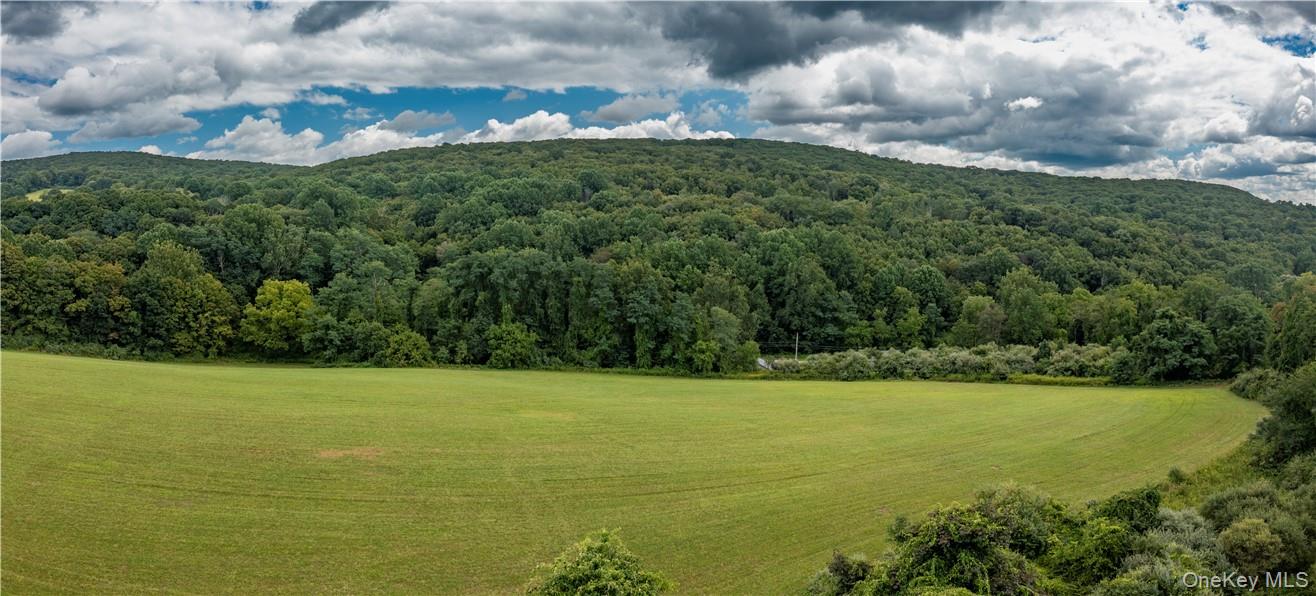 #2 photo, 245 Birch Hill Road, Patterson , NY 12563