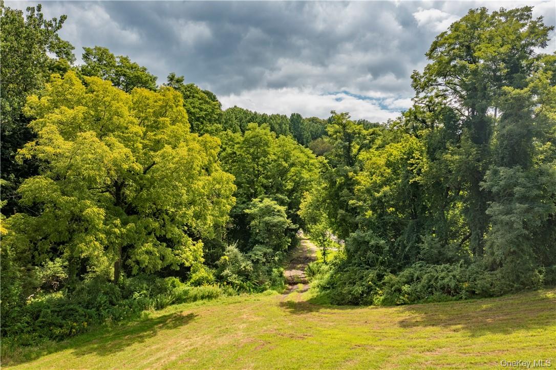 #4 photo, 245 Birch Hill Road, Patterson , NY 12563