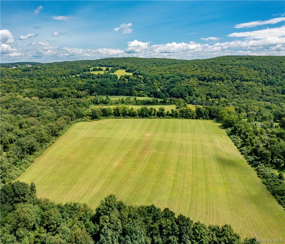 #7 photo, 245 Birch Hill Road, Patterson , NY 12563