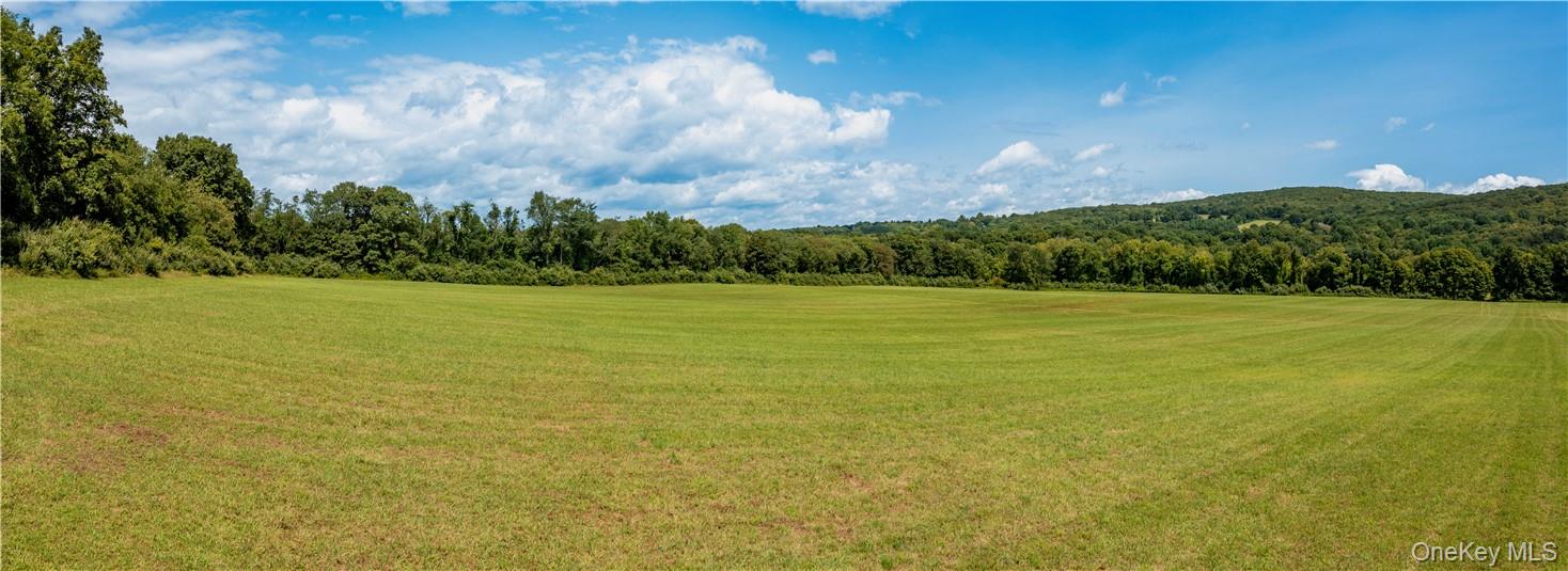 #8 photo, 245 Birch Hill Road, Patterson , NY 12563