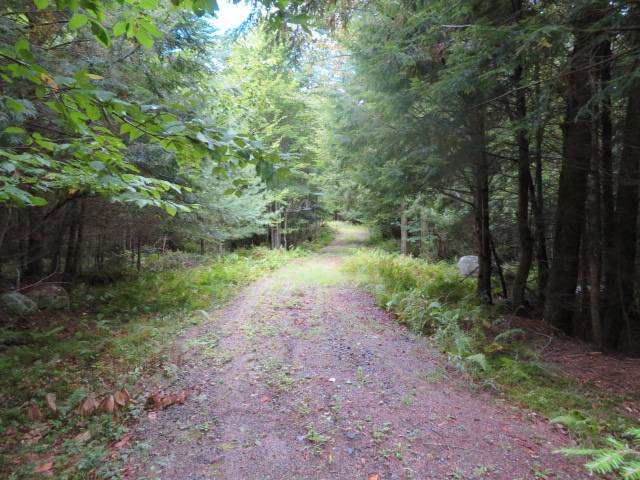 #10 photo, 0 Emmonsburg Rd, #3, Salisbury , NY 13365