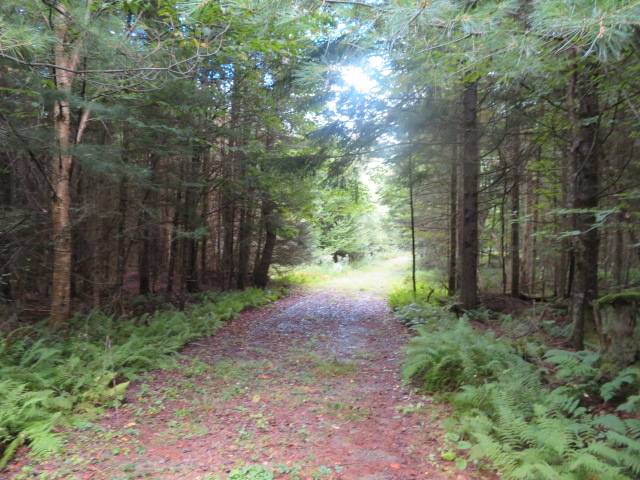 #11 photo, 0 Emmonsburg Rd, #3, Salisbury , NY 13365