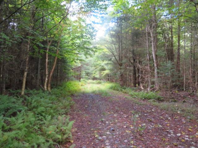 #12 photo, 0 Emmonsburg Rd, #3, Salisbury , NY 13365