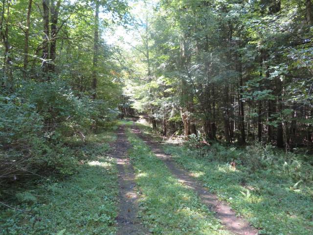 #13 photo, 0 Emmonsburg Rd, #3, Salisbury , NY 13365